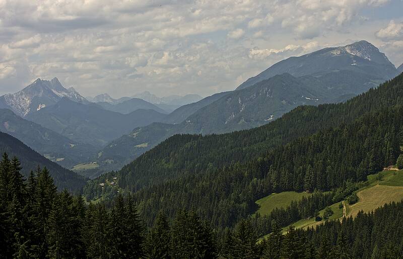 Literaturwanderung mit Zdravko Haderlap