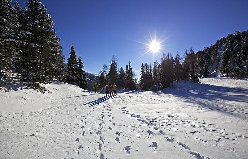 Winterlandschaft Turracher Höhe