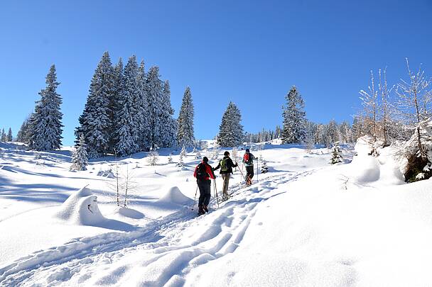 Skitour in der Region Villach