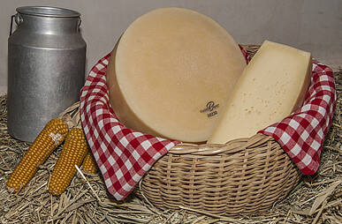 Käse aus Kirchbach in der Naturarena Kärnten