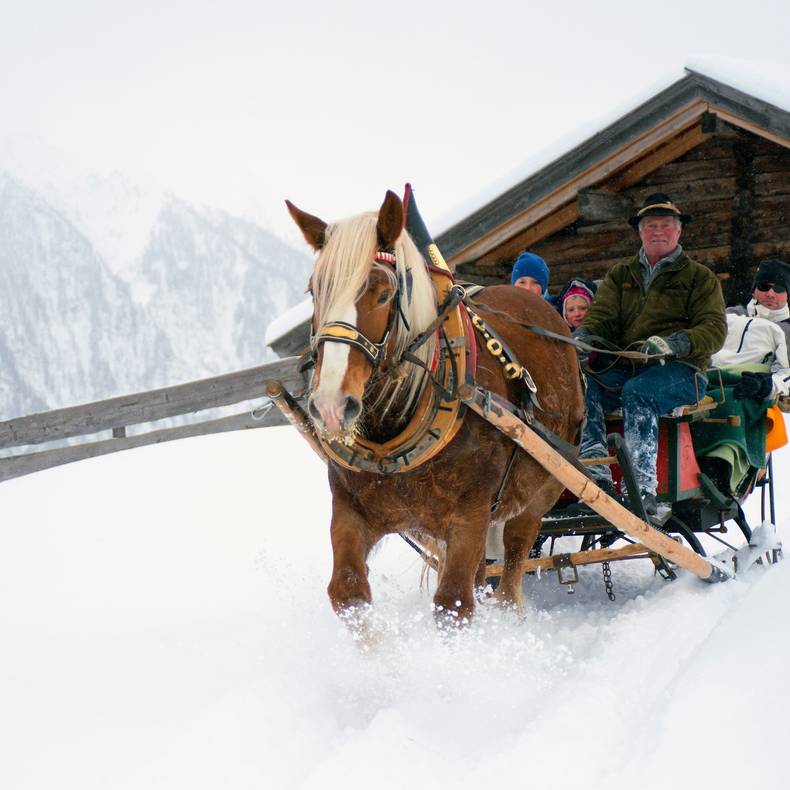 <p>Pferdeschlitten in Apriach Nationalpark Hohe Tauern</p>