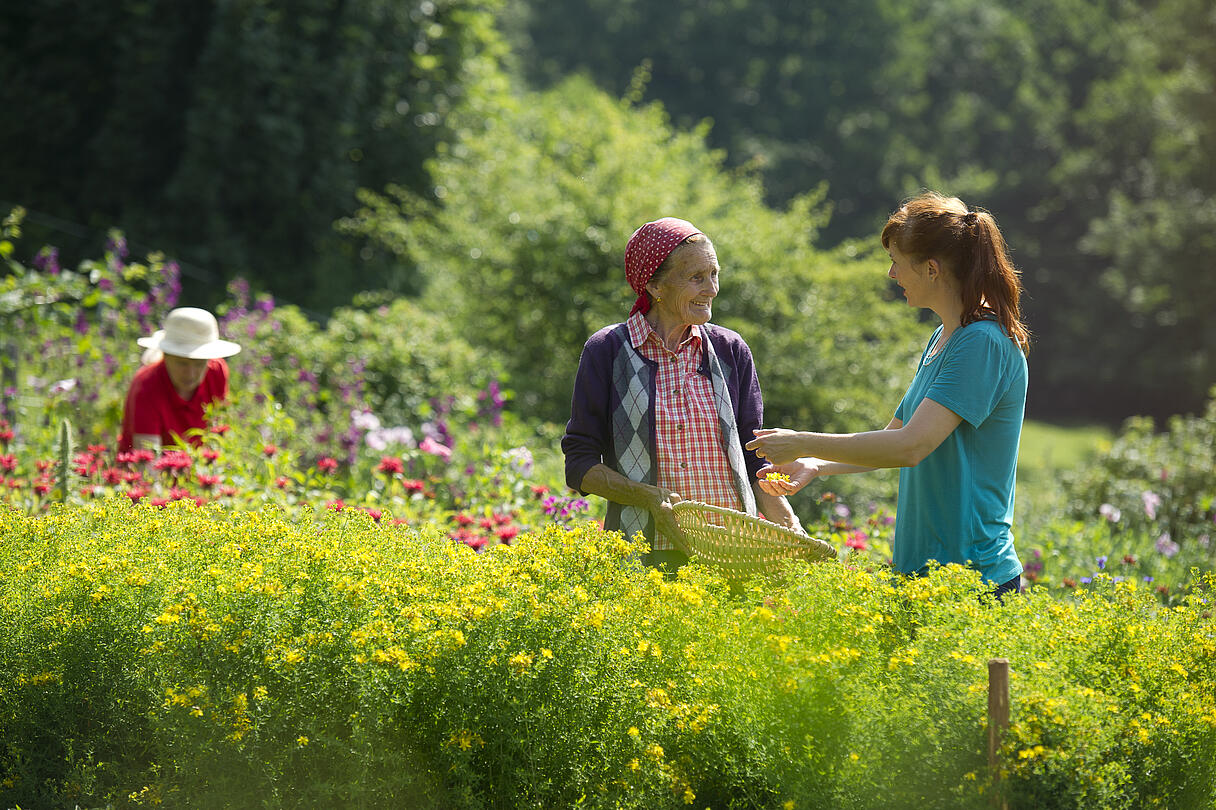 Irschen in der Nationalpark-Region Hohe Tauern Irschen in der Nationalpark-Region Hohe Tauern
