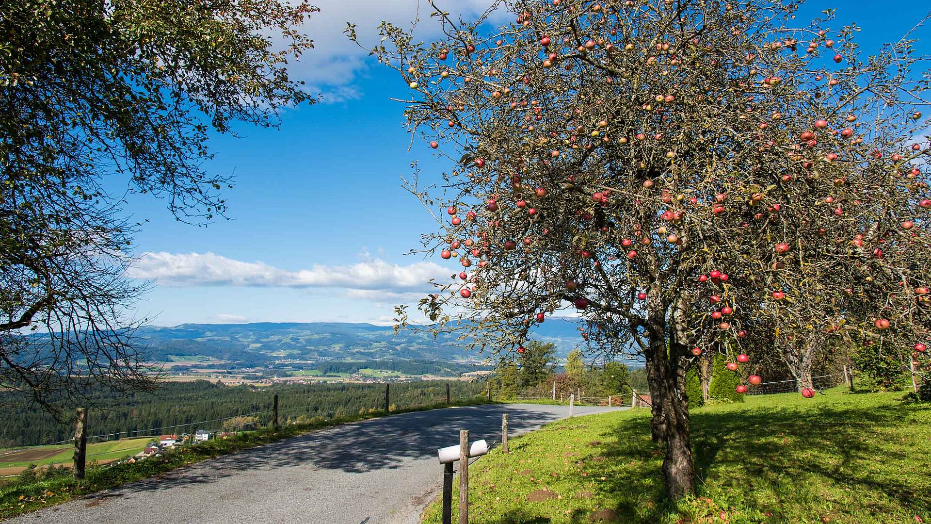 Lavanttal im Herbst