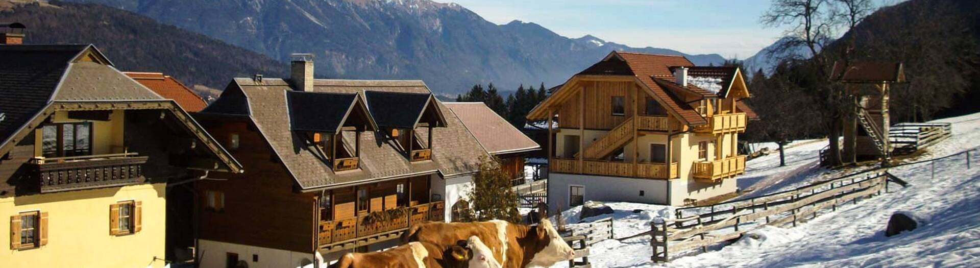 Urlaub am Bauernhof im Winter am Schönauerhof am Nassfeld in Kärnten