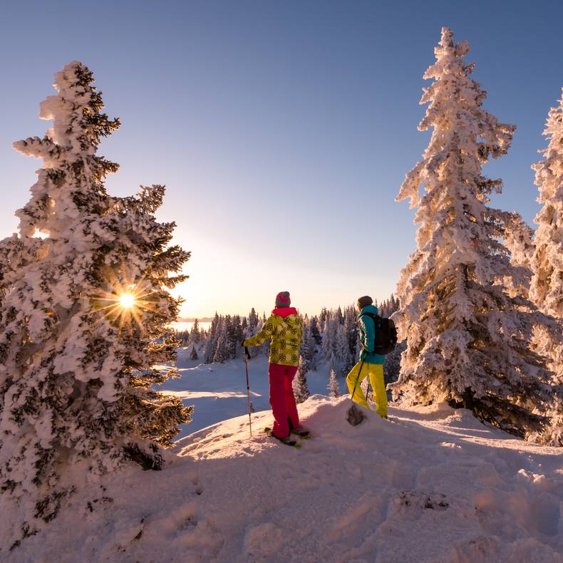 <p>Region Villach Schneeschuhwandern am Dobratsch</p>