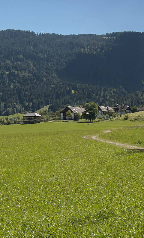 Naturlehrpfad Gösseringgraben im Gitschtal in der Naturarena Kärnten