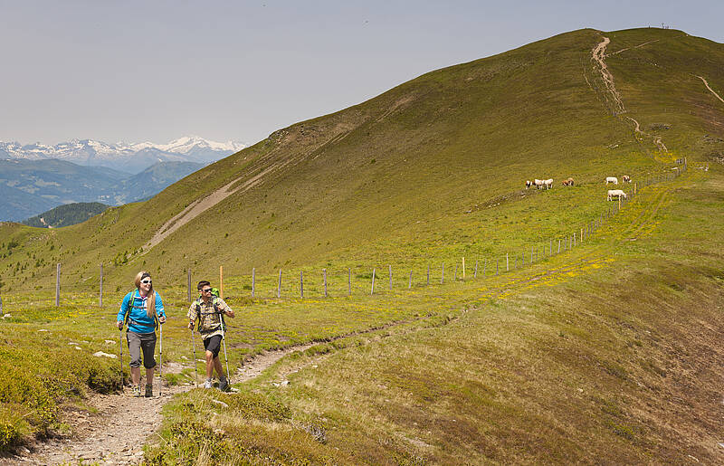 Alpe Adria Trail in den Nockbergen