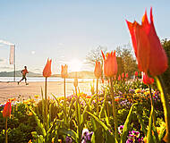 Woerthersee Laufen im Frühling