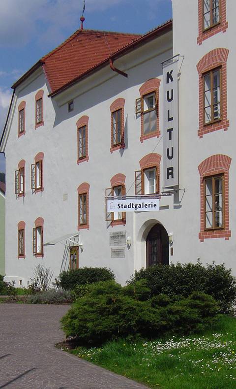 <p>Burgen und Schlösser in Kärnten, Amthof Feldkirchen</p>