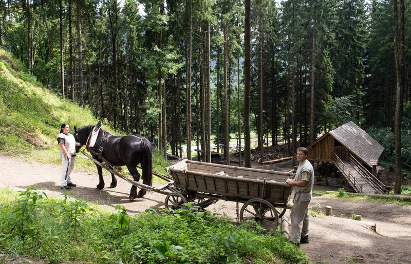 <p>Burgen und Schlösser in Kärnten, Burgbau Friesach Fuhrwerk</p>