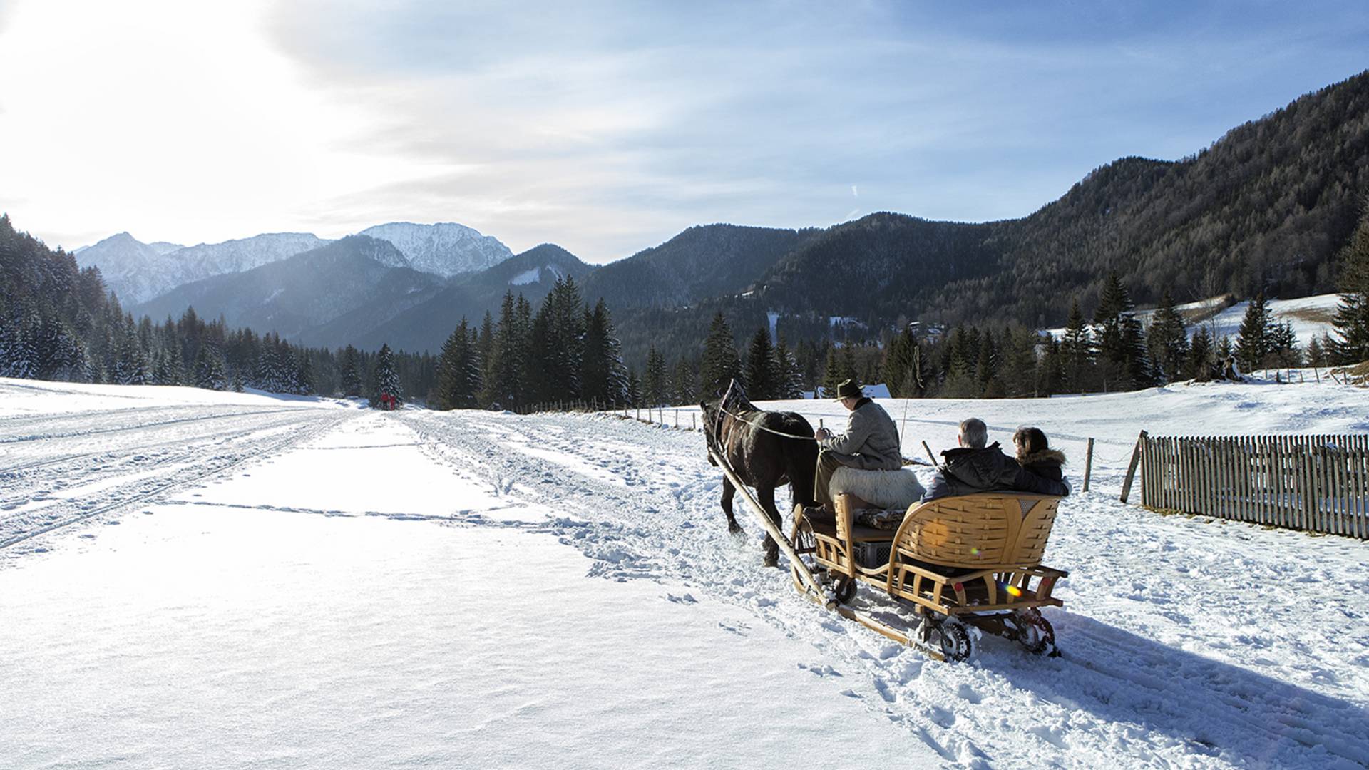 Pferdeschlittenfahrt im Schnee im Bodental
