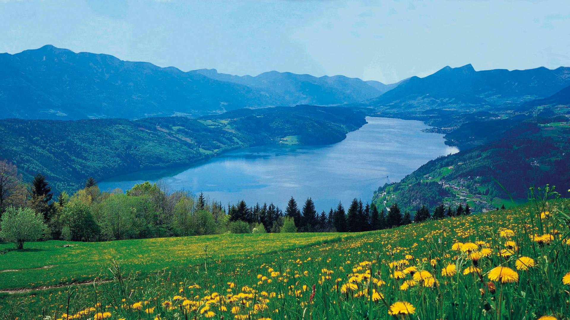 Blick auf den Millstätter See, Blumenwiese