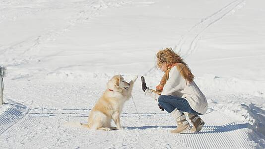 Inverno con il cane