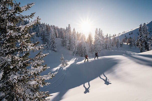 Social Region Villach Winter NaturparkDobratsch Skitour 