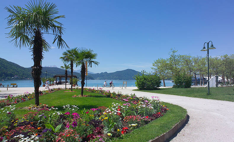 Seenschleife Etappe5 06 Fruehling am Woerthersee KaerntenWerbung FranzGerdl