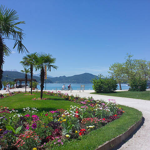 Seenschleife Etappe5 06 Fruehling am Woerthersee KaerntenWerbung FranzGerdl