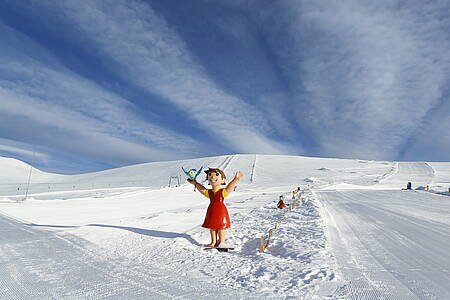 Heidi&lsquo;s Schneealm al Falkert