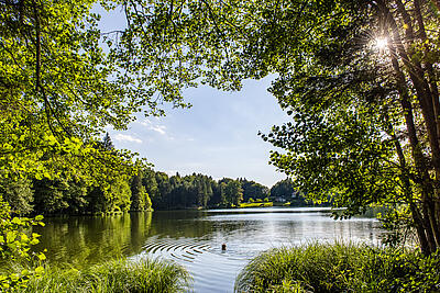 Blick auf den Trattnigteich in der Region Wörthersee-Rosental