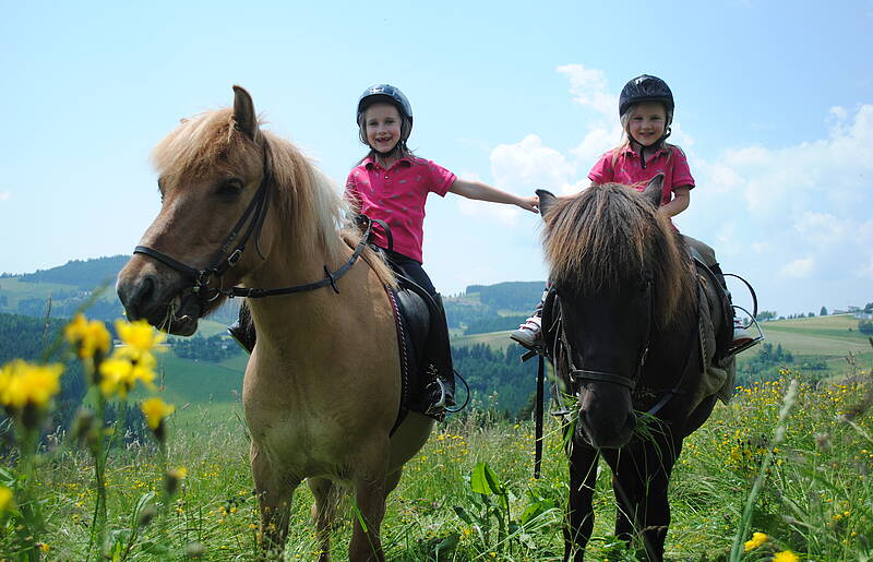 Reiten am Petschnighof