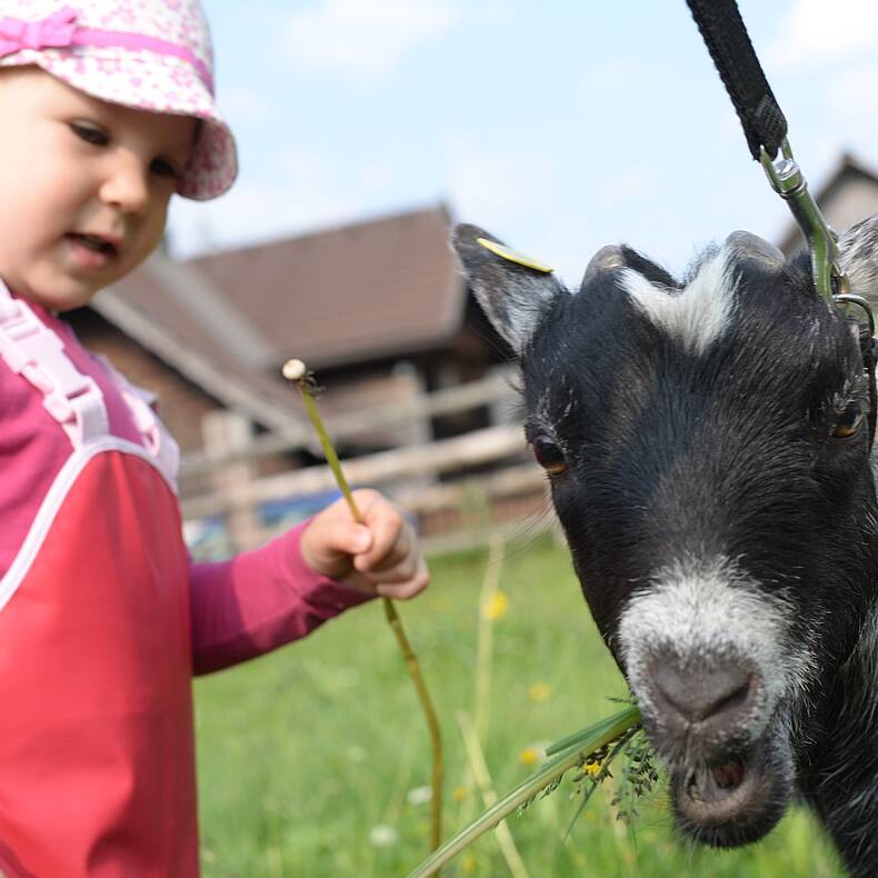 Urlaub am Bauernhof Ottingerhof