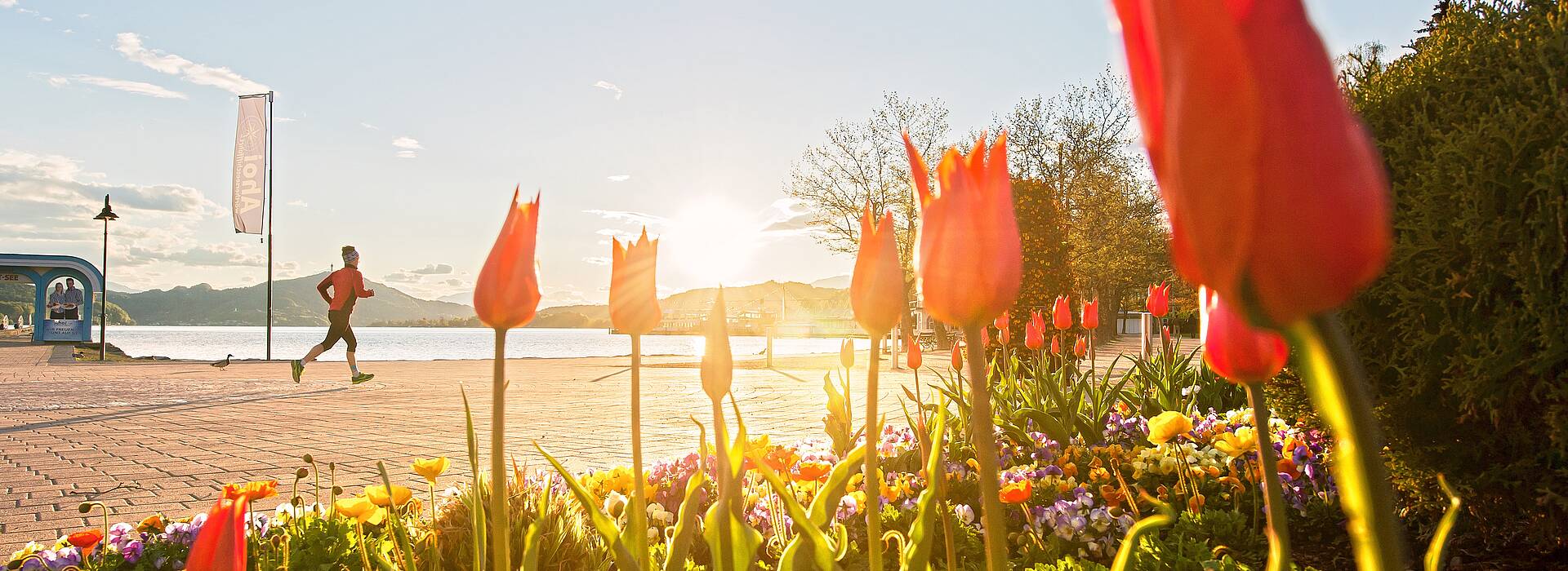 Fruehling am Woerthersee
