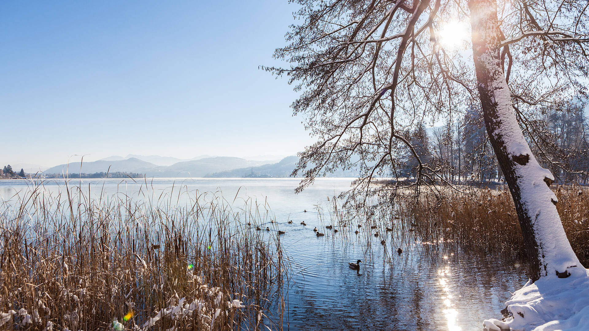 Winterlandschaft Wörthersee