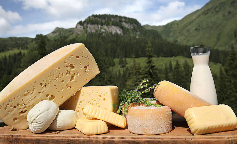 Gailtaler Käse auf der Rattendorfer Alm