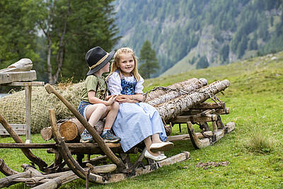 Kulinarik mit der Familie im Pöllatal in der Region Katschberg Lieser-Maltatal